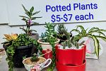 Sale Photo Thumbnail #8