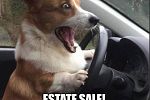 Sale Photo Thumbnail #2