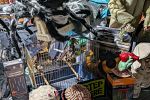 Sale Photo Thumbnail #2