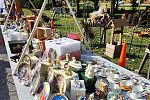 Sale Photo Thumbnail #11