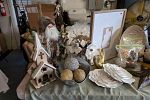 Sale Photo Thumbnail #12