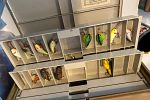 Sale Photo Thumbnail #46