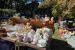 Sale Photo Thumbnail #15
