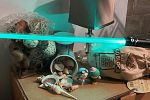 Sale Photo Thumbnail #4
