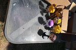 Sale Photo Thumbnail #11