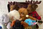 Sale Photo Thumbnail #24