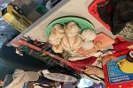 Sale Photo Thumbnail #4