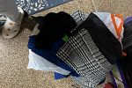 Sale Photo Thumbnail #8