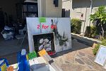 Sale Photo Thumbnail #15