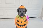 Sale Photo Thumbnail #29