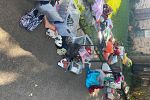 Sale Photo Thumbnail #3