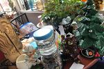 Sale Photo Thumbnail #15