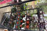 Sale Photo Thumbnail #8
