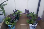 Sale Photo Thumbnail #5