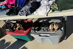 Sale Photo Thumbnail #6