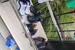 Sale Photo Thumbnail #27