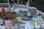 Sale Photo Thumbnail #5