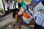 Sale Photo Thumbnail #14