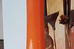 Sale Photo Thumbnail #31