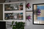Sale Photo Thumbnail #19