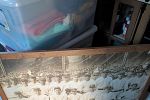 Sale Photo Thumbnail #24