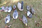 Sale Photo Thumbnail #42