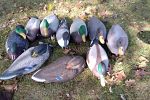 Sale Photo Thumbnail #41