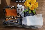 Sale Photo Thumbnail #13
