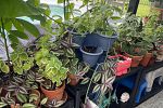 Sale Photo Thumbnail #35