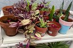 Sale Photo Thumbnail #36