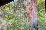 Sale Photo Thumbnail #31