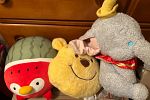 Sale Photo Thumbnail #18