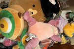 Sale Photo Thumbnail #15