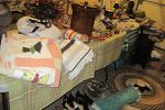 Sale Photo Thumbnail #6