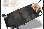 Sale Photo Thumbnail #176