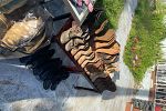 Sale Photo Thumbnail #14