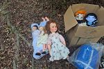 Sale Photo Thumbnail #4