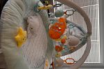Sale Photo Thumbnail #6