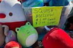 Sale Photo Thumbnail #14