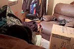 Sale Photo Thumbnail #10