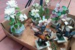 Sale Photo Thumbnail #30