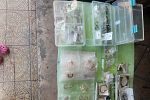 Sale Photo Thumbnail #20