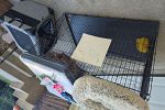 Sale Photo Thumbnail #3
