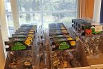 Sale Photo Thumbnail #10