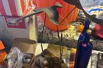 Sale Photo Thumbnail #14