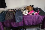 Sale Photo Thumbnail #27