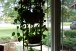Sale Photo Thumbnail #30