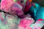 Sale Photo Thumbnail #2