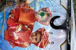 Sale Photo Thumbnail #18