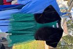 Sale Photo Thumbnail #9